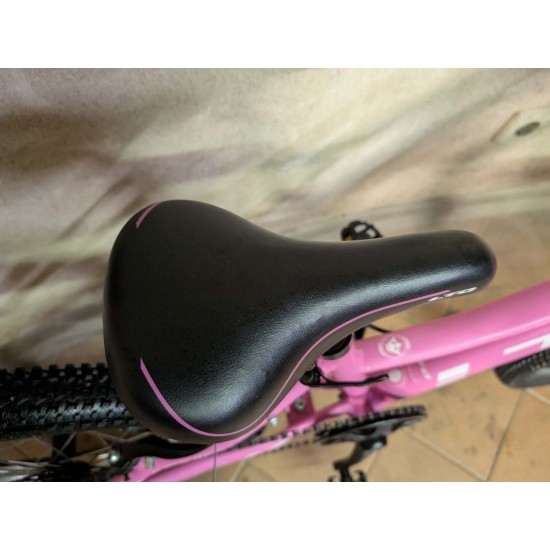 LTD Princess vaikiškas dviratis 20" 8.5 kg