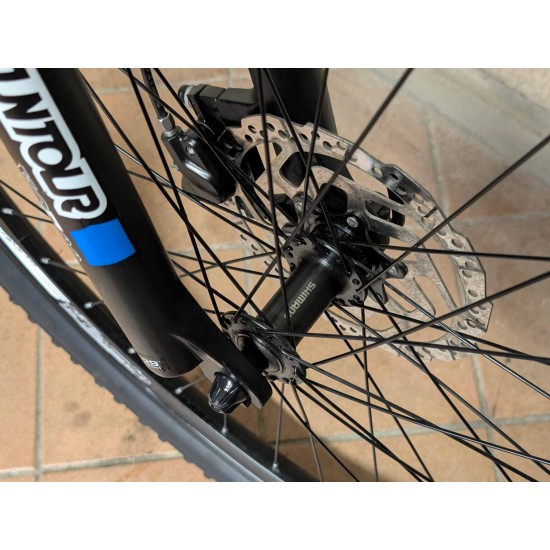 kalnu-dviratis-kands-29-ratai-17-remas-aliuminis-shimano-hidrauliniai-stabdziai
