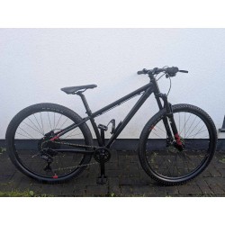 White XC 290 Comp kalnų dviratis 29" 15"