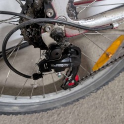 DBS bikerz dviratis paaugliui 24"