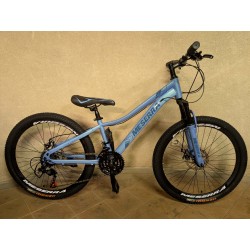 MESERRA DVIRATIS PAAUGLIUI 24″ ml