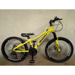 MESERRA DVIRATIS PAAUGLIUI 24″ g