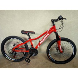 MESERRA DVIRATIS PAAUGLIUI 24″ rl