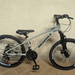 MESERRA DVIRATIS PAAUGLIUI 24″ grey alu