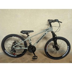 MESERRA DVIRATIS PAAUGLIUI 24″ grey alu