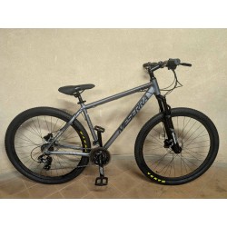 MESERRA KALNŲ DVIRATIS 29" L grey