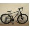 MESERRA KALNŲ DVIRATIS 29" L grey
