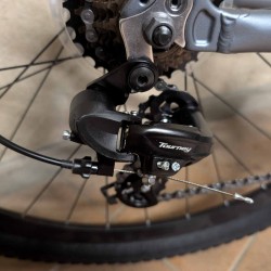 MESERRA KALNŲ DVIRATIS 29" L grey