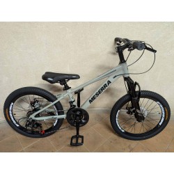 MESERRA VAIKIŠKAS DVIRATIS 20" grey alu