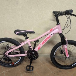 MESERRA VAIKIŠKAS DVIRATIS 20" pl