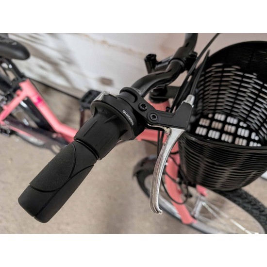 vaikiskas-dviratis-mergaitei-umit-alanya-20-pink-plieninis-remas